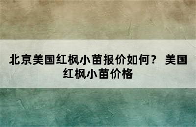 北京美国红枫小苗报价如何？ 美国红枫小苗价格